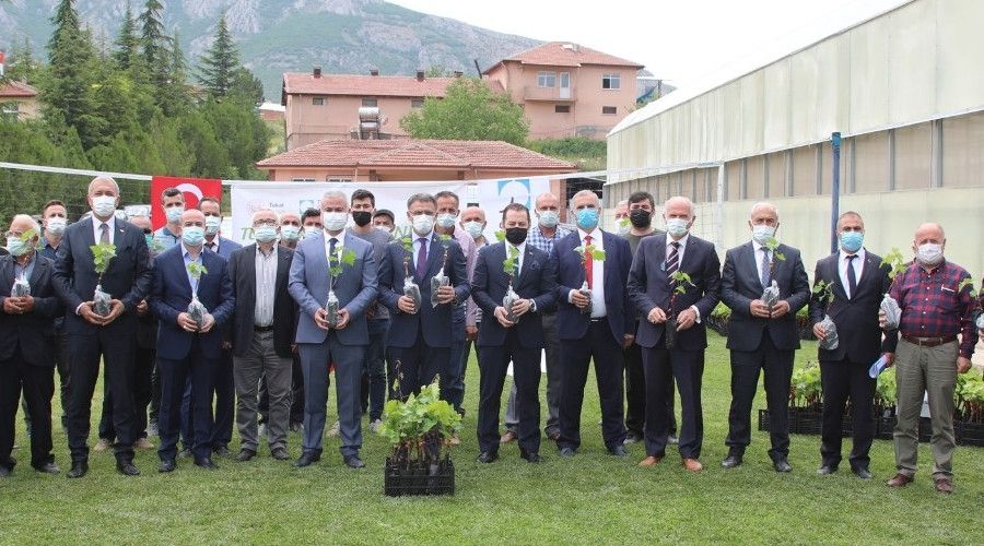 Tokat'ta 60 bin tüplü asma fidanı dağıtıldı
