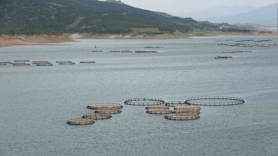 Tokat'tan Rusya'ya somon ihracat�