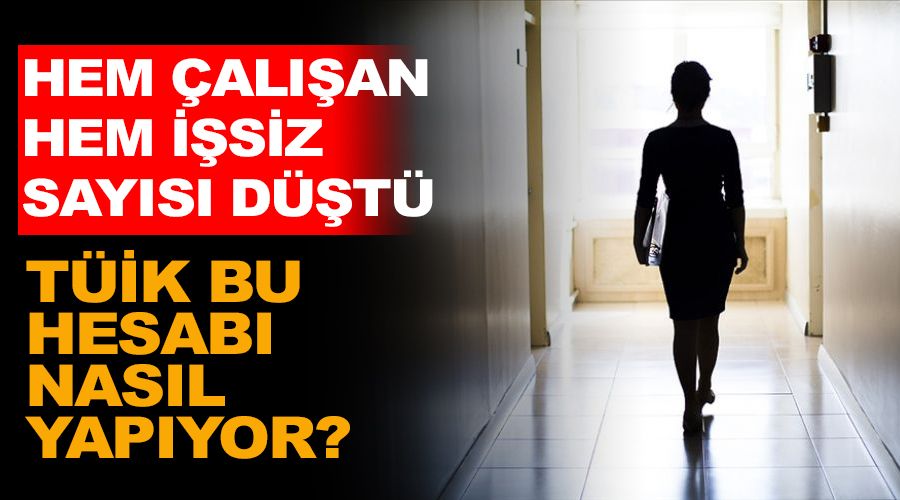 TÜİK bu hesabı nasıl yapıyor? Hem çalışan sayısı hem işsiz sayısı düştü
