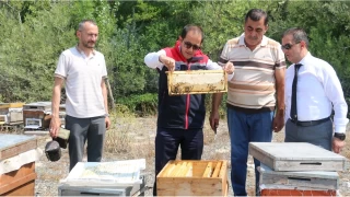  Trkiye'nin en kaliteli ballarndan birinde hasat balad
