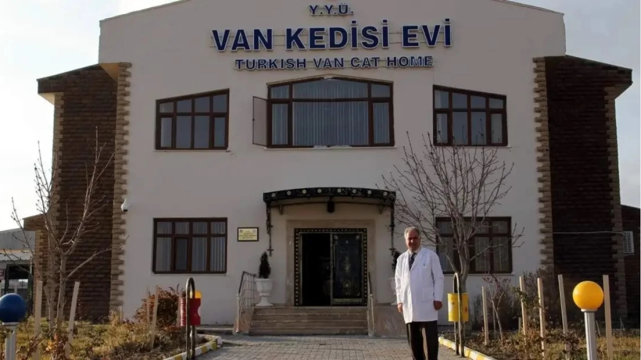 Van Kedisi Evi: Efsanevi gözlerin korunduğu yuva