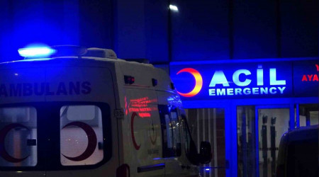 Van'da köpeklerin saldırdığı küçük çocuk hayatını kaybetti