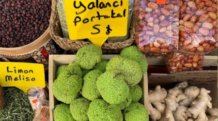 Vatandaşın ağrı kesici arayışına 'Yalancı portakal' yetişti