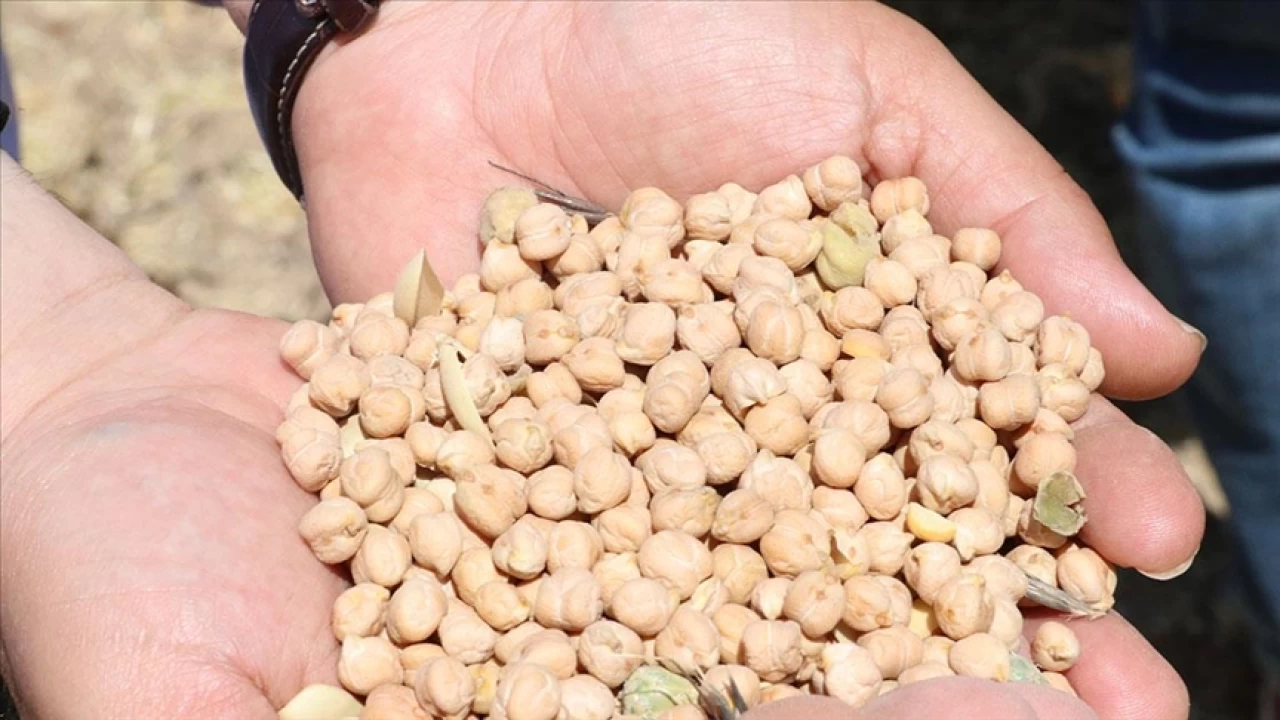 Vatandaşın en çok kaşık salladığı bakliyat belli oldu