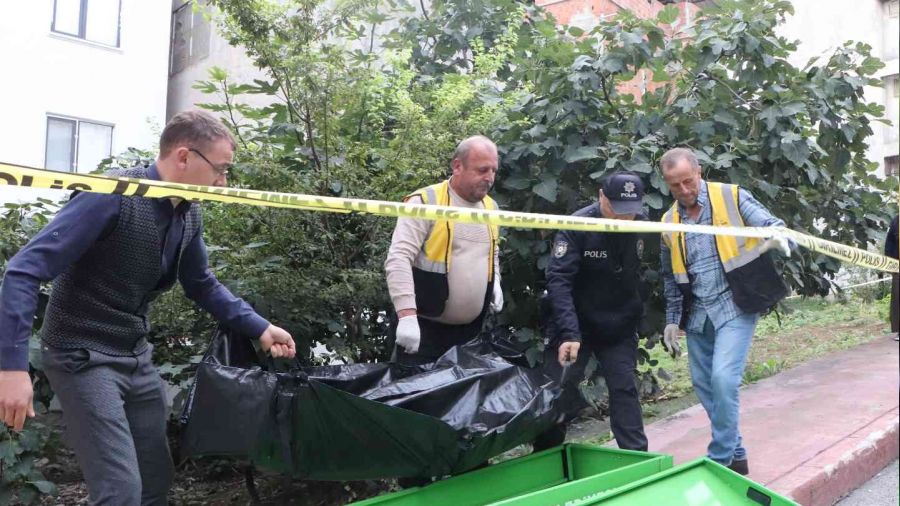 Ya�l� kad�n incir a�ac�na as�l� halde bulundu