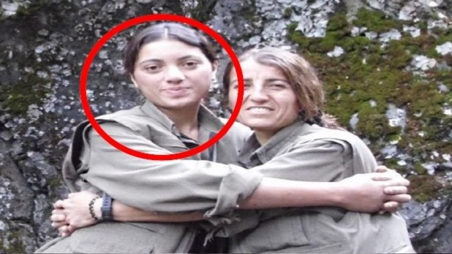 Yeşil Sol Parti milletvekili adayı İstanbul'da yakalandı