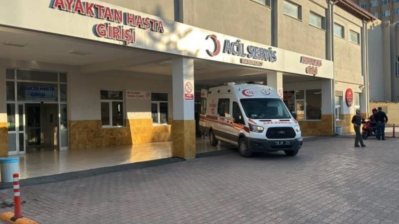 Y�ld�r�m�n �arpt��� tar�m i��isi hayat�n� kaybetti