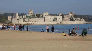 Zehirli sakın dokunmayın: Denizanaları sahilden toplanıyor
