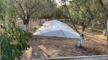Zeytin tarlasında Çatkı Mezar bulundu