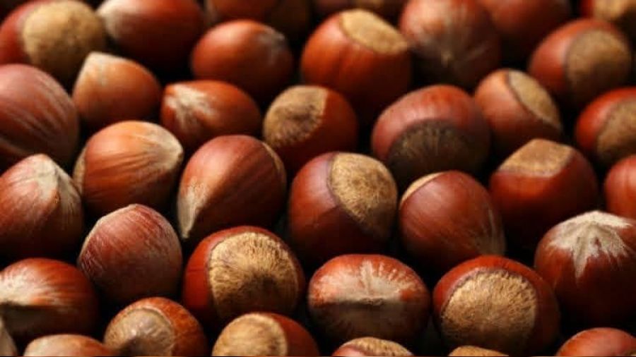 9 ayl�k f�nd�k ihracat� 1.5 milyar dolara yakla�t�