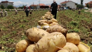 Adana'da patates hasad balad
