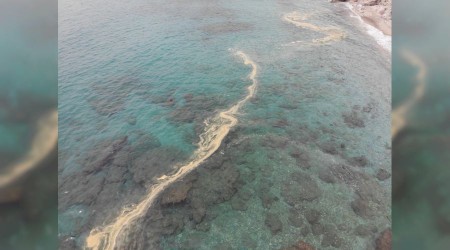 Alanya'da deniz salyas esareti