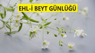Allah’ın iki hücceti vardır