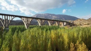 Alman Kprs'nn etrafnda renk cmb