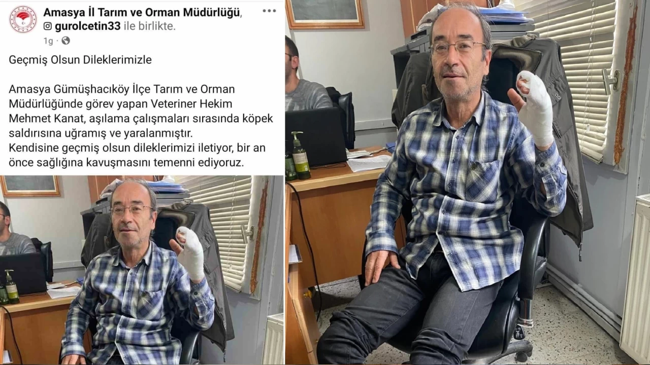 Amasya'da veteriner hekime köpek saldırdı