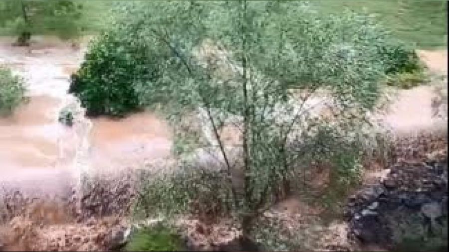 Artvin'de dereler ta�t�, tar�m arazileri zarar g�rd�