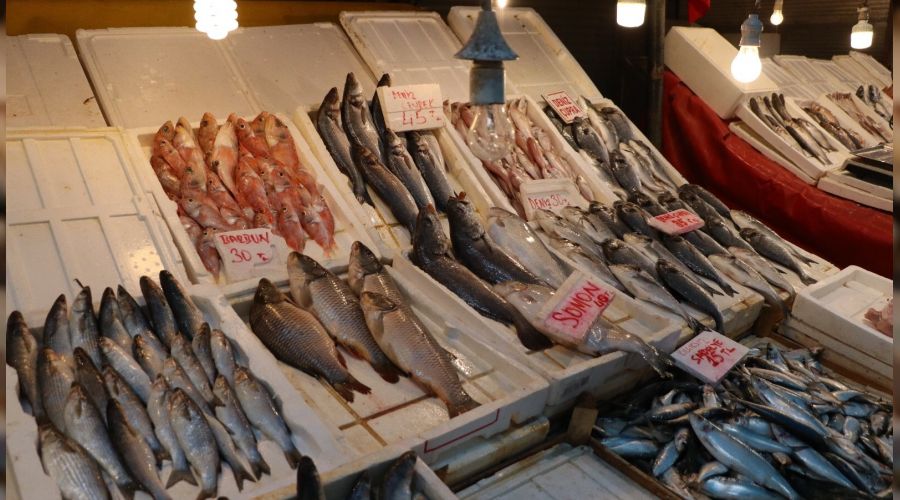 Av yasa��yla birlikte bal�kta fiyatlar d��t�