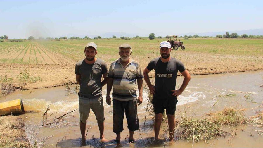 Aydın Ovası'nda 4 derece sıcakta mesai
