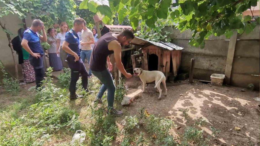 Bak�lmas� yasak hayvanlara el konuldu