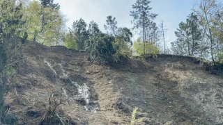 Bartın'da heyelan
