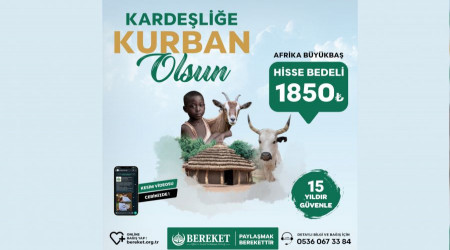 Bereket Derneği vacip kurban bağışı bedelini duyurdu