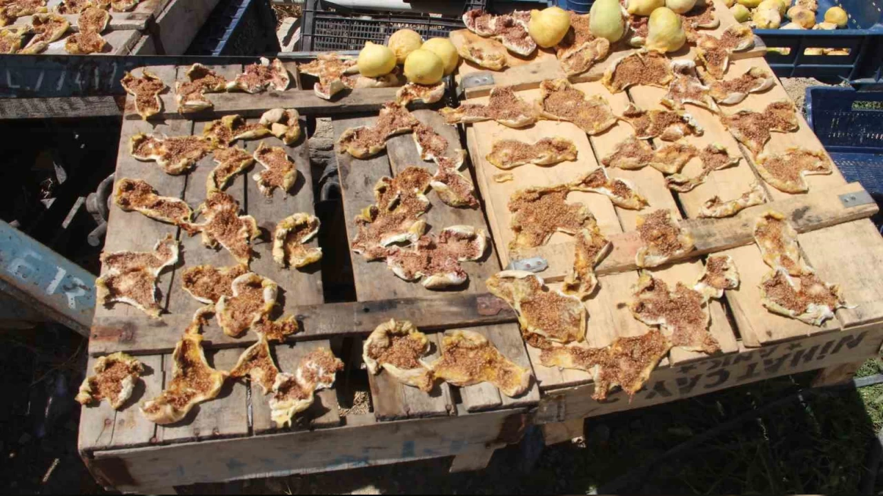 Beyaz incir alt�n y�l�n� ya��yor