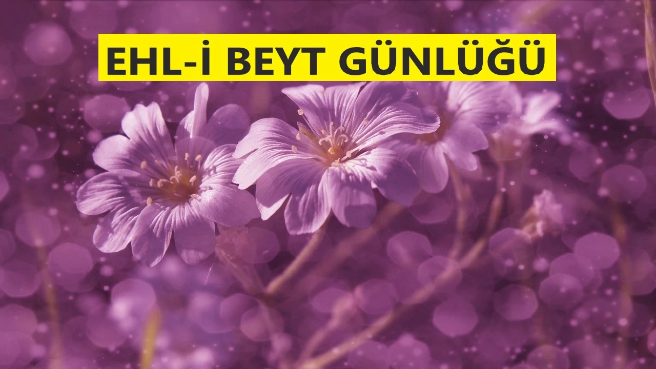 �Bilmedi�ini sormayan helak olur�