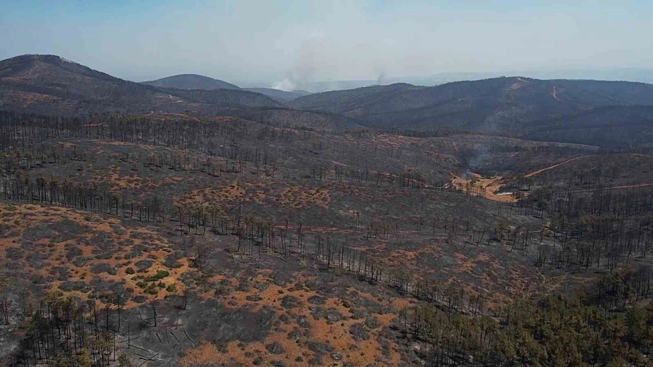 Bursa'da ac� tablo