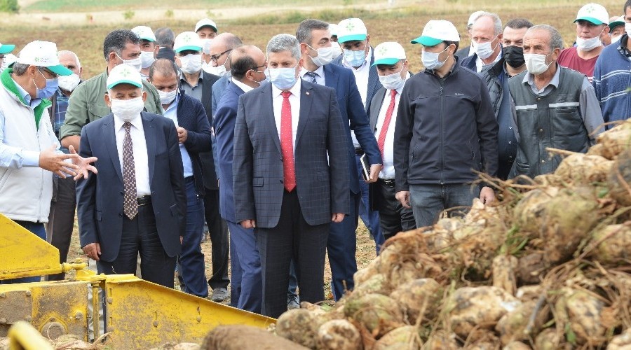 C pancar�na rekor fiyat