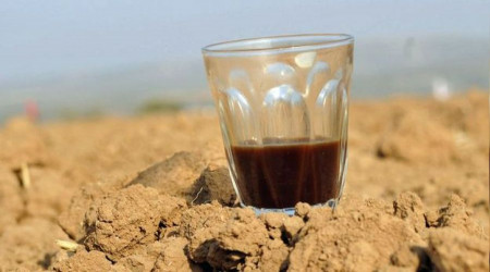 Çay ve kahve vücudun su ihtiyacını arttırıyor