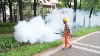 Çin'de 'chikungunya' virüsü, özel bir ilacı yok