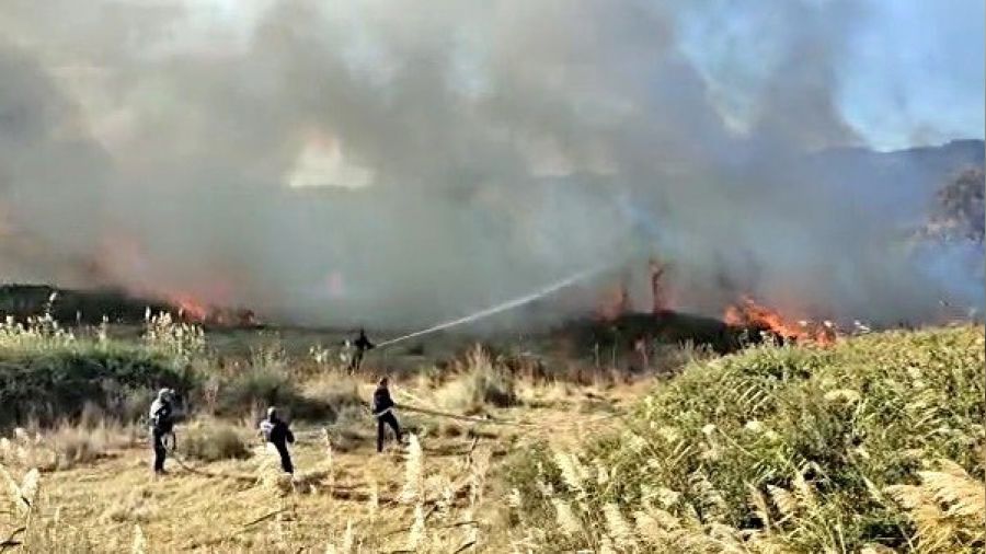 Edremit Ovası'nda korkutan yangın