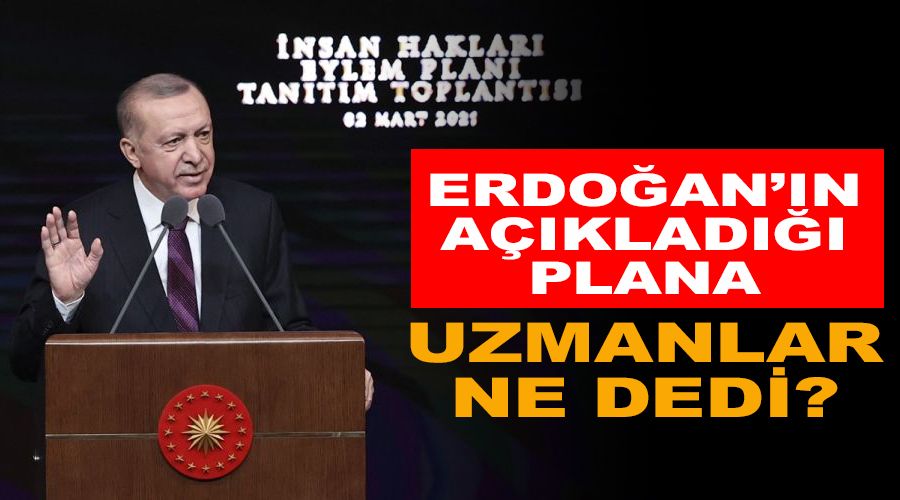 Erdo�an'�n a��klad��� plana uzmanlar ne dedi?