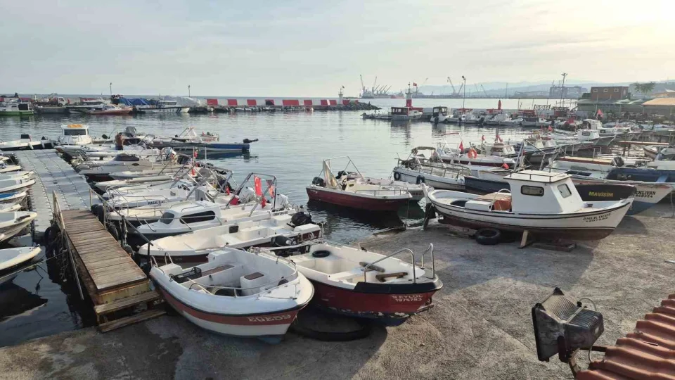 F�rt�nan�n ard�ndan bal�k��lar yeniden denizde