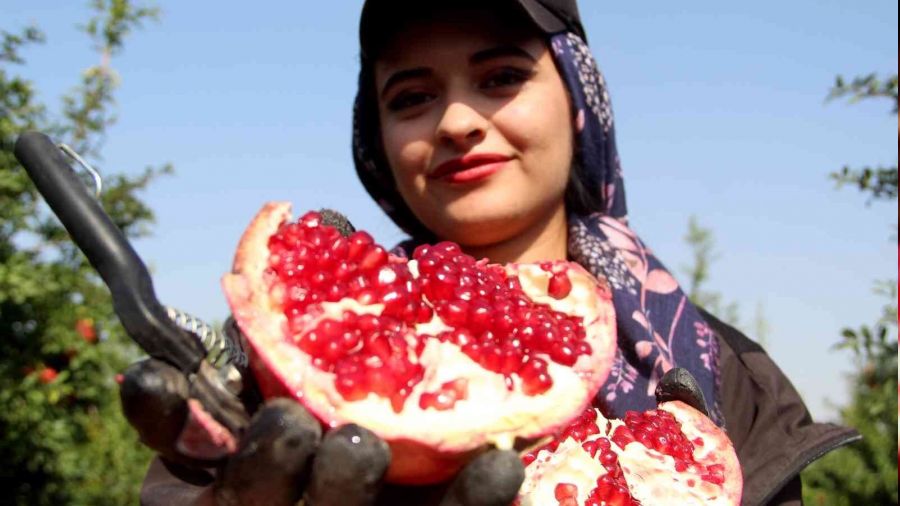 Fiyat� y�zde y�z artan nar y�z g�ld�r�yor