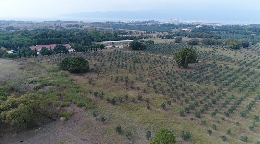 Gemlik'te 'yerli otomobil' haz�rl���