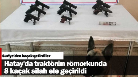 Hatay'da traktörün römorkunda 8 kaçak silah ele geçirildi