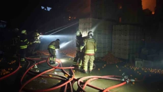 Hatay'daki fabrika yang�n�nda 60 i��i tahliye edildi, 1 i��i �ld�