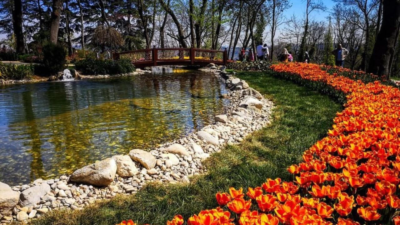 İstanbul'un kalbinde bir vaha: Emirgan Korusu