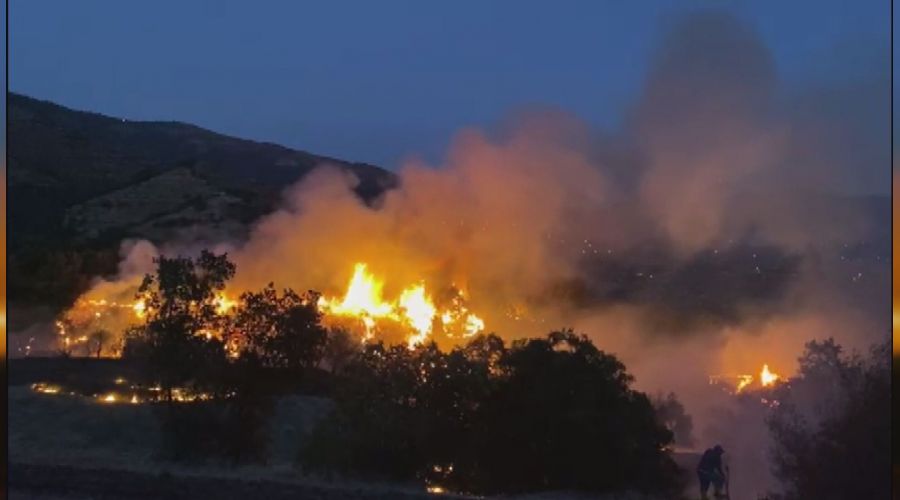 �zmir'de zeytinlik alanda ��kan yang�n s�nd�r�ld�