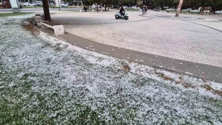 Kar deil polen