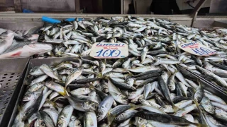 Karadeniz'de hamsi yerini istavrite b�rakt�