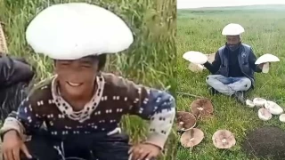Kars'ta dev mantarlar ilgi oda oldu
