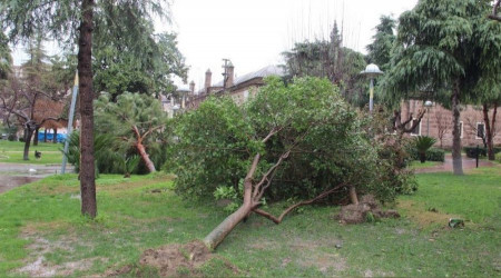 Manisa'ya kuvvetli rüzgar ve fırtına uyarısı