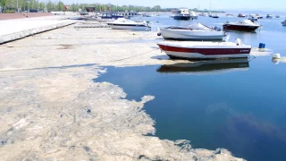 Msilaj kabusu imdi de orada grld
