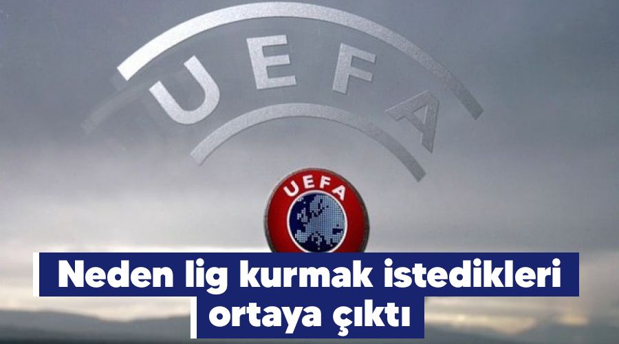 Neden lig kurmak istedikleri ortaya çıktı