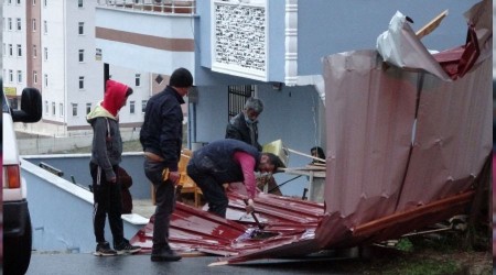 Ordu'da frtna atlar uurdu