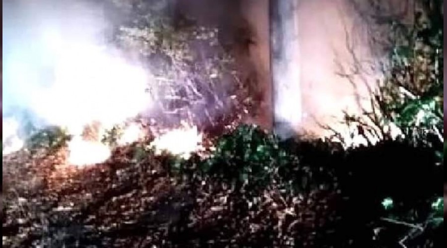 Ordu'da ormanlık alanda yangın