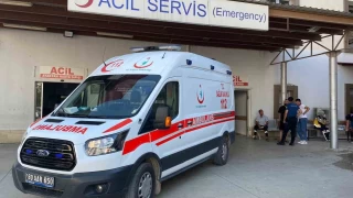 Osmaniye'de msr tarlasnda yeni domu bebek bulundu
