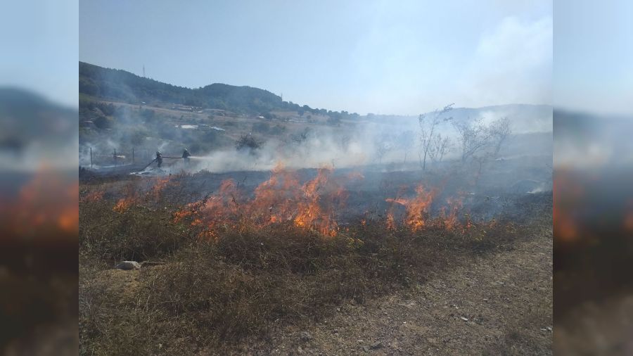 Otluk alanda çıkan yangın söndürüldü